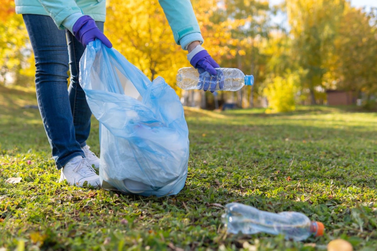 Чистота начинается с нас